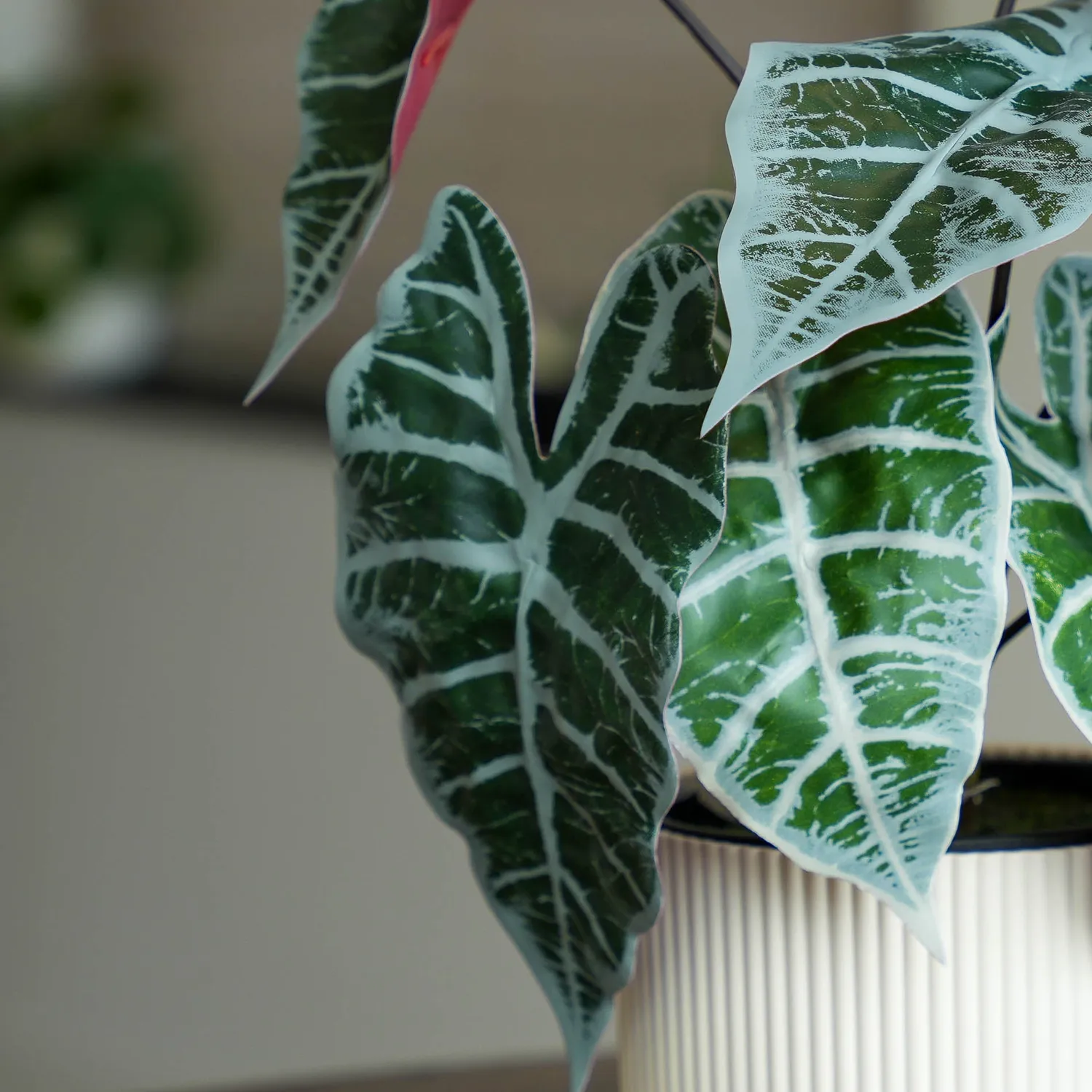 Urbanjungl Alocasia Bush kunstplant 40 cm onderhoudsvrij