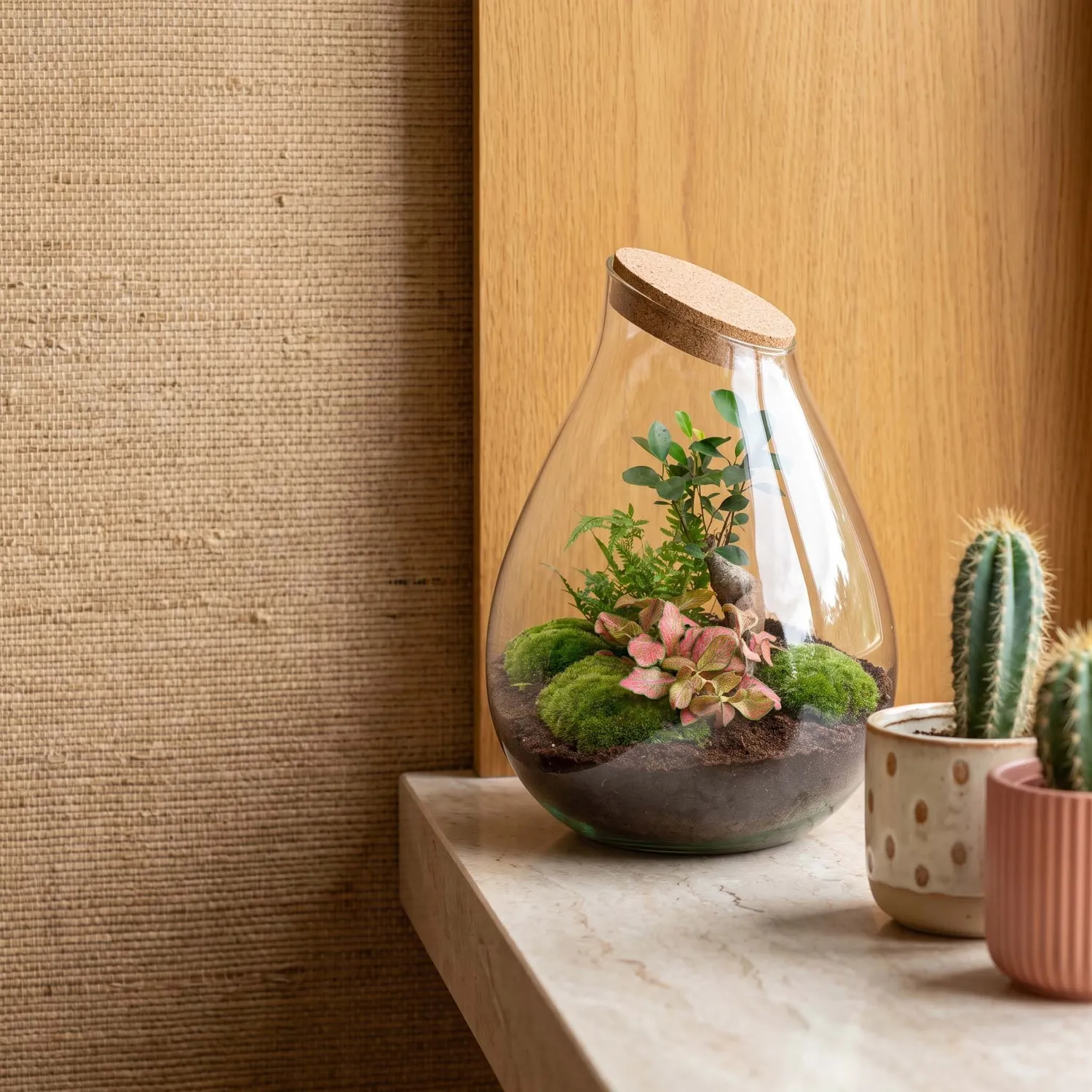 Urbanjungl Drop XXL Bonsai terrarium Ø 34 cm DIY kit