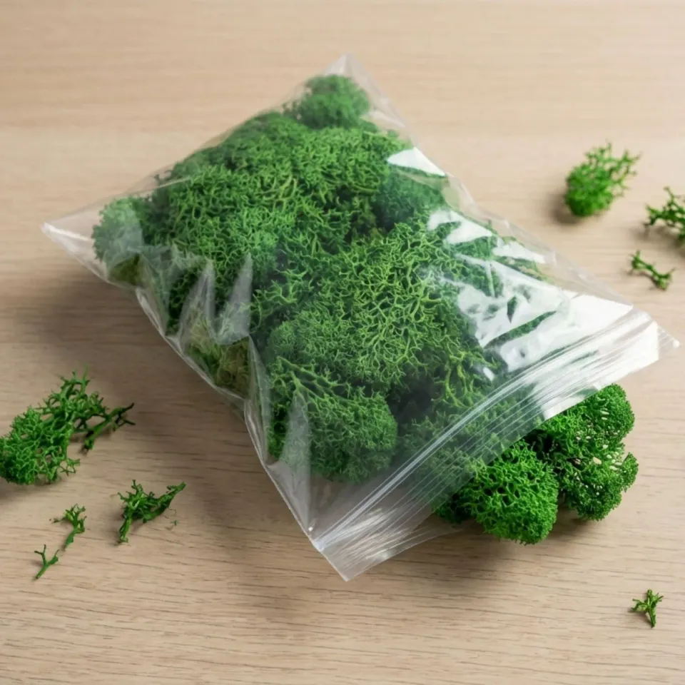 Urbanjungl Rendiermos groen decoratiemos zak 50 g