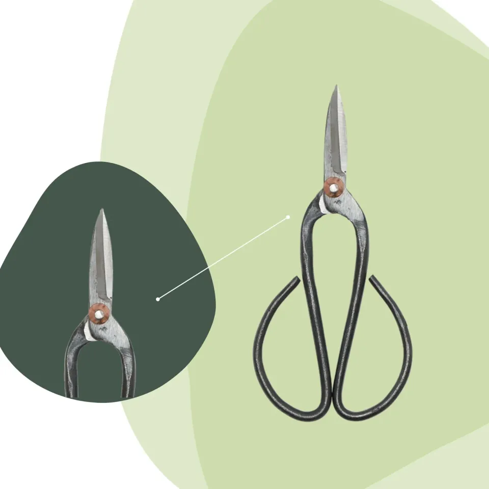 Urbanjungl Bonsai Shears L bonsaischaar 19 cm scherp