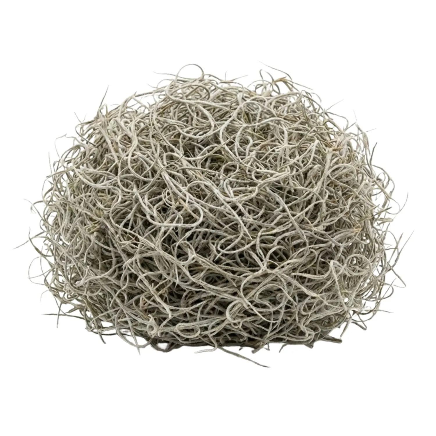 Urbanjungl Tillandsia mos gedroogd decoratie 1 liter