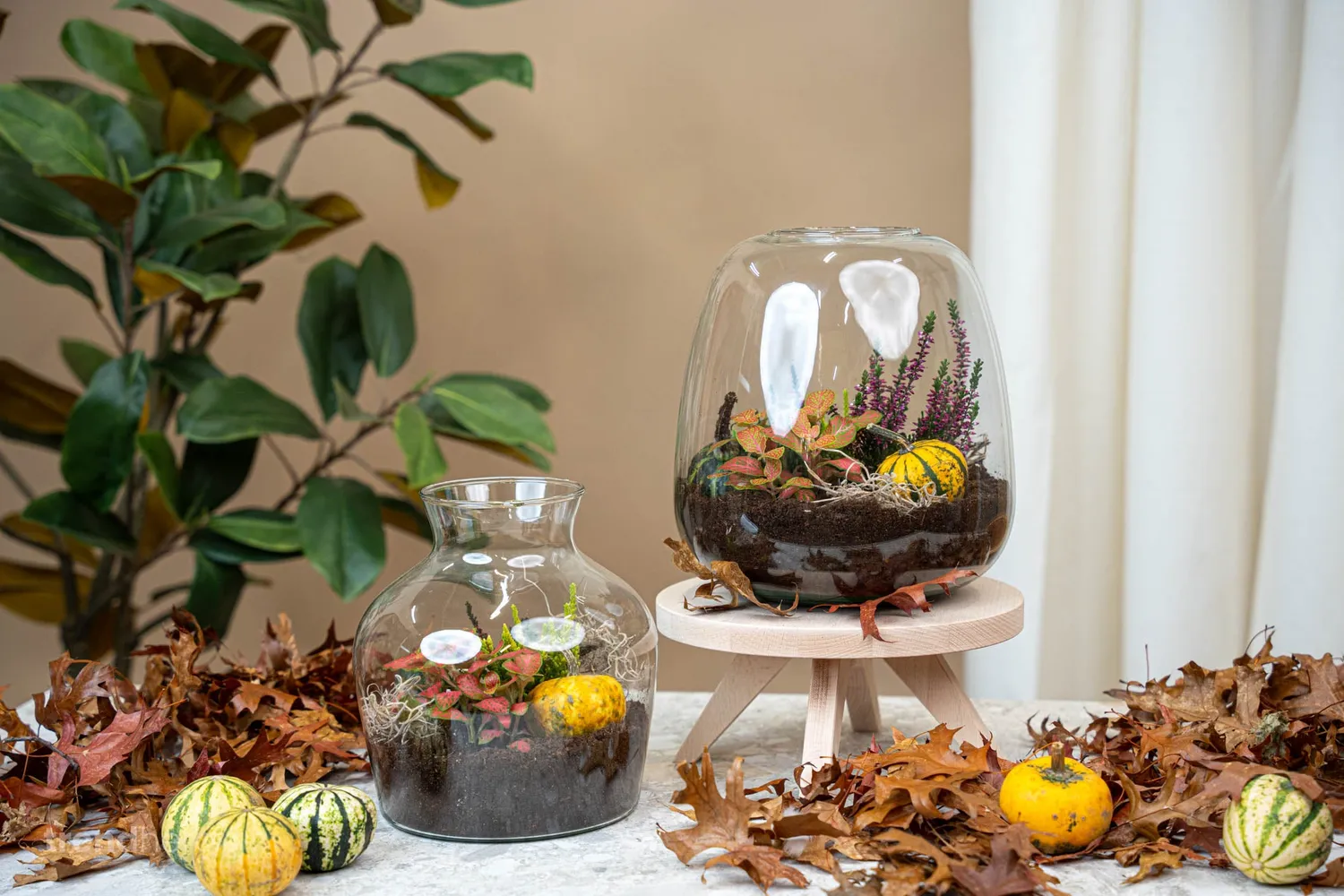 Urbanjungl Emma Autumn herfst terrarium DIY-set