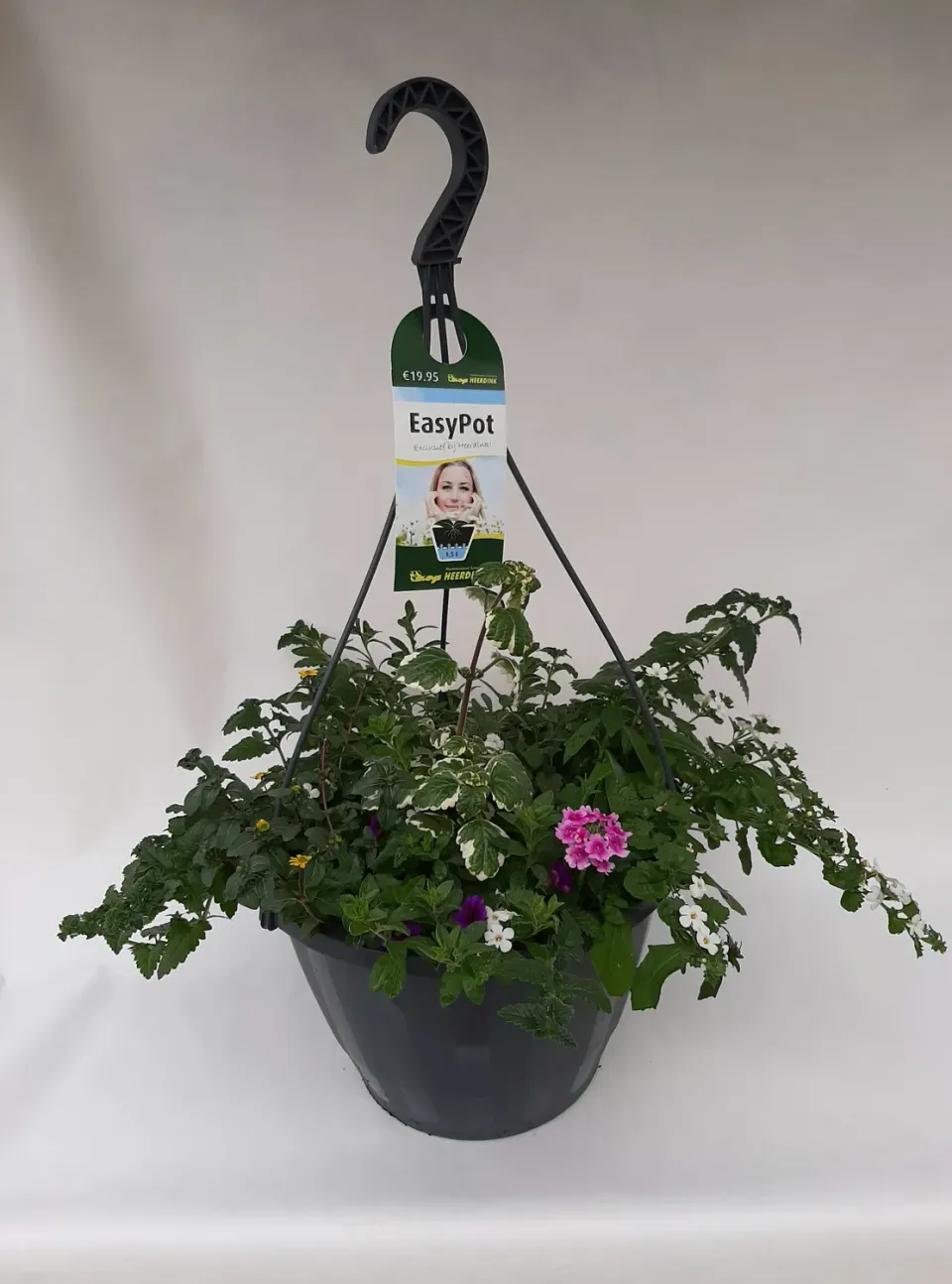Tuincentrum Heerdink Hanging Basket gemengd 5 kleuren bloemen