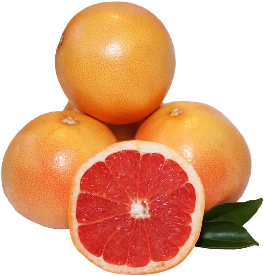 The Natural World Citrus Star Ruby grapefruit plant roze