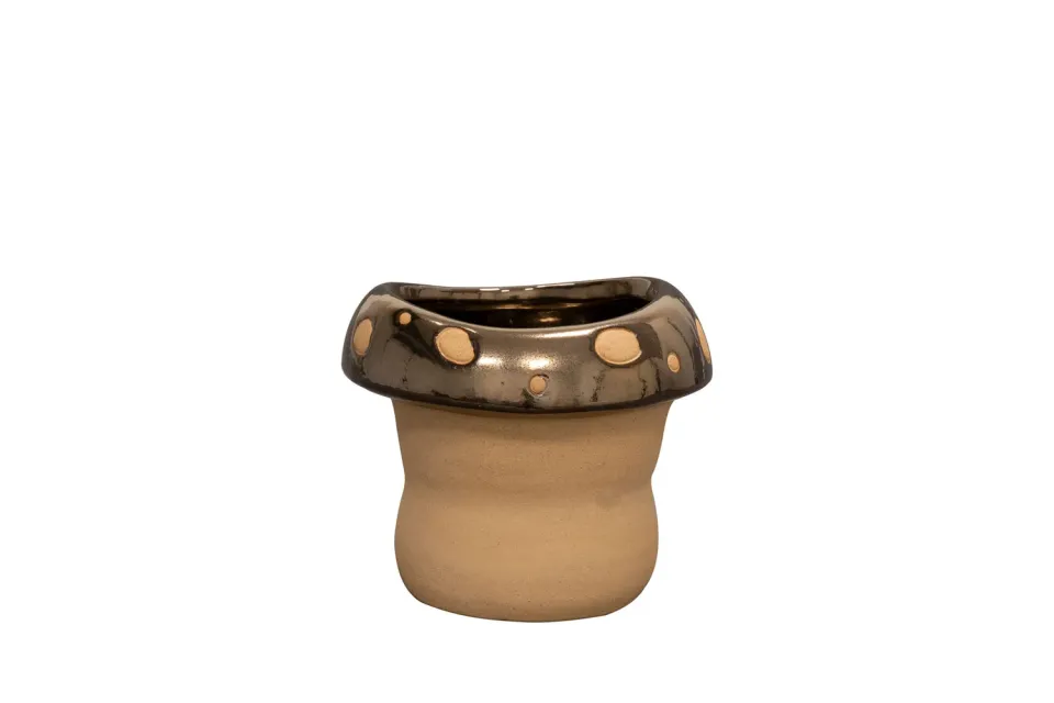 TS Collection Funghi bloempot goud D14 H11