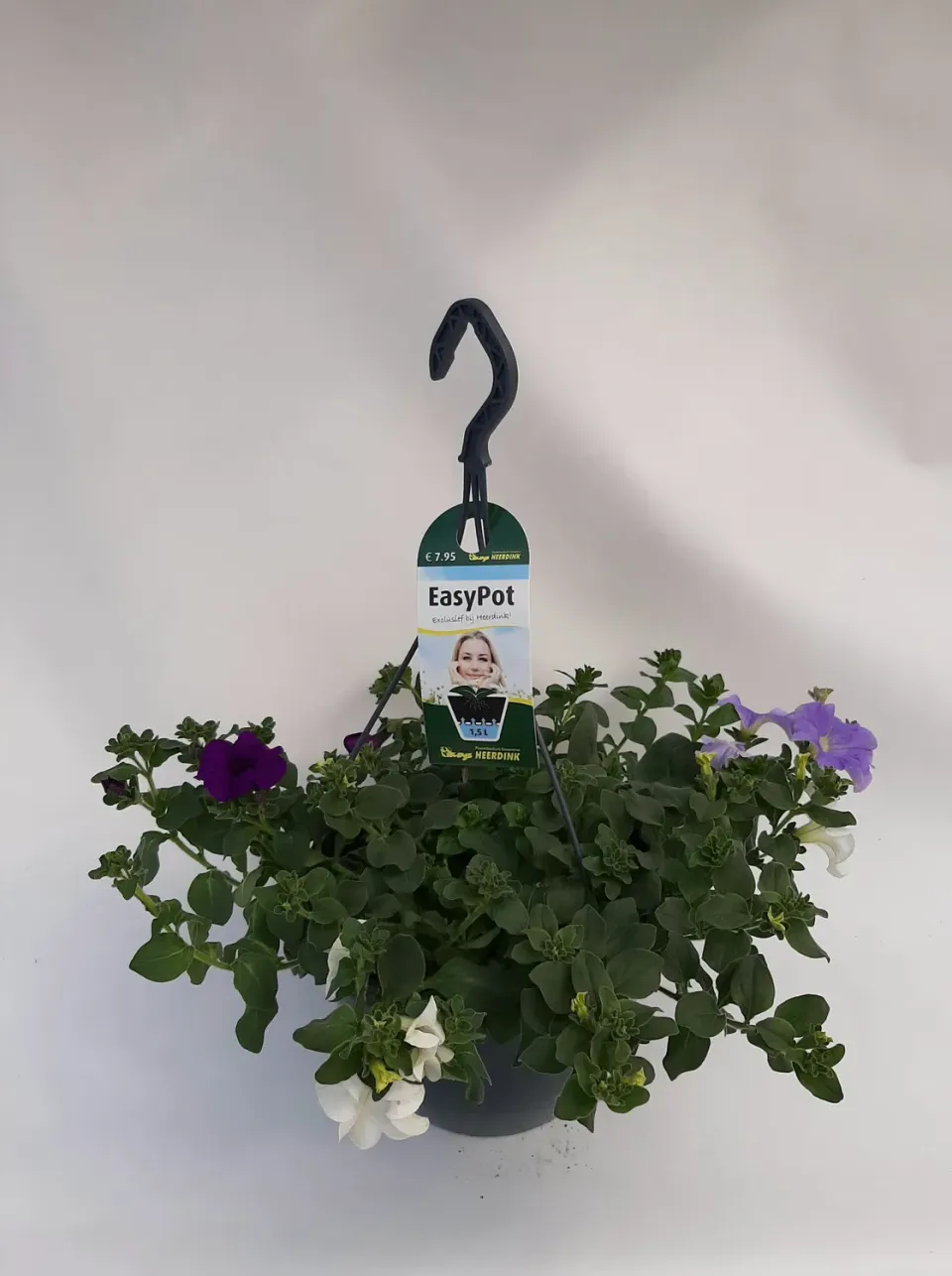 Tuincentrum Heerdink Fanfare hangpetunia rijkbloeiend