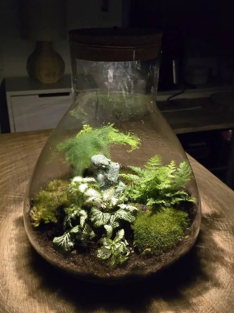 Urbanjungl Sam XL plantenterrarium DIY kit met licht 30 cm