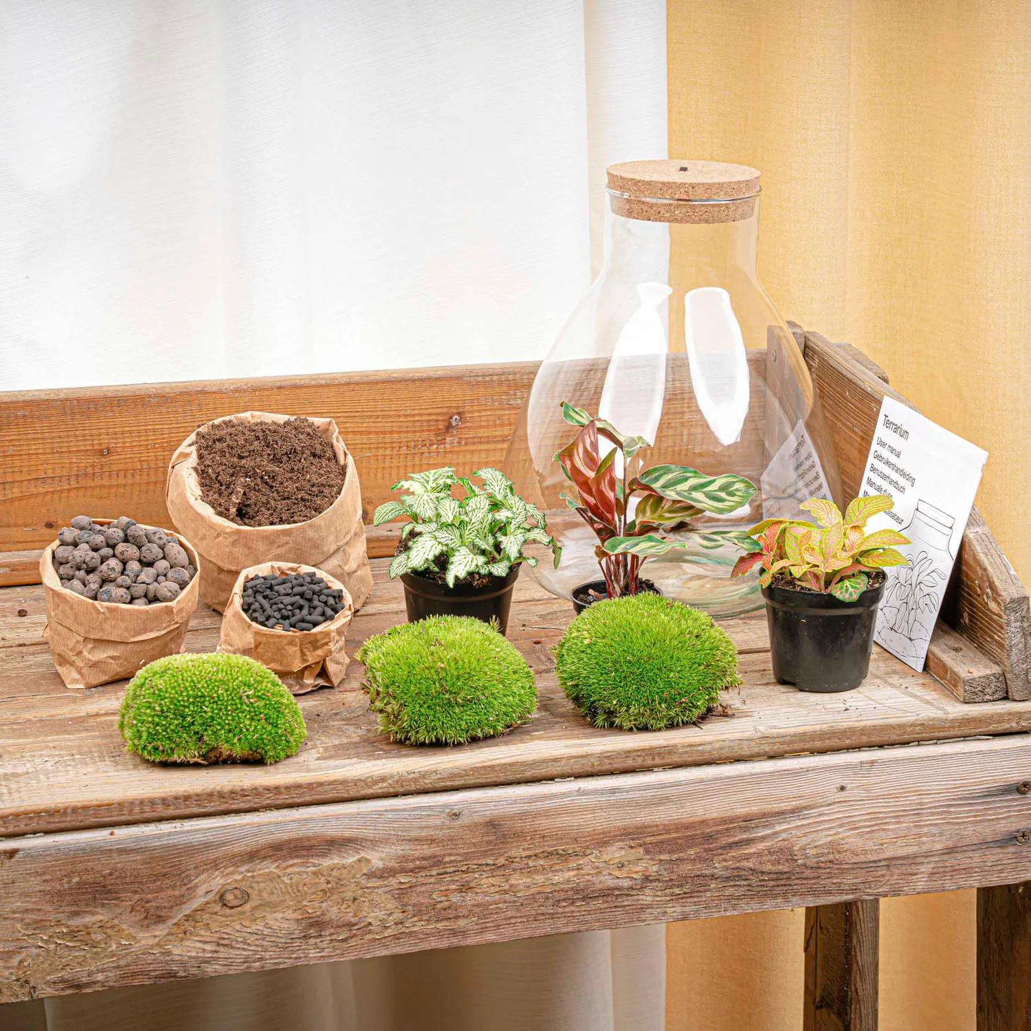 Urbanjungl Sam Calathea planten terrarium kit 30 cm met licht