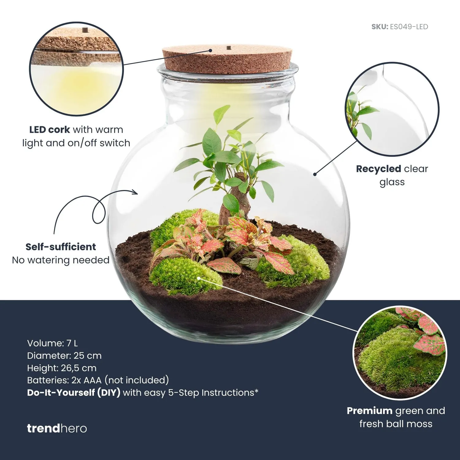 Urbanjungl Teddy Bonsai Rood terrarium DIY kit met licht Ø26 cm