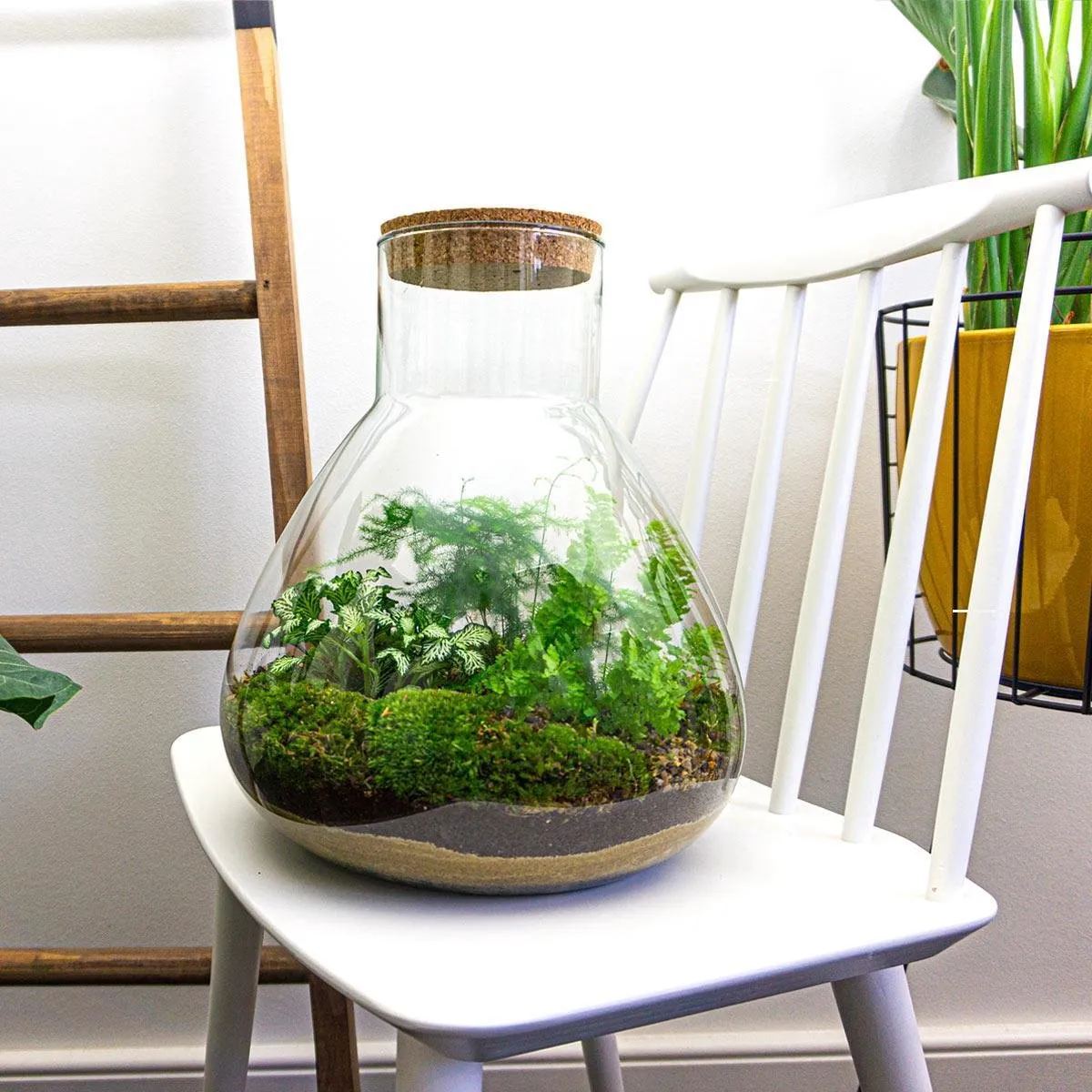 Urbanjungl Sam XL plantenterrarium DIY kit met licht 30 cm