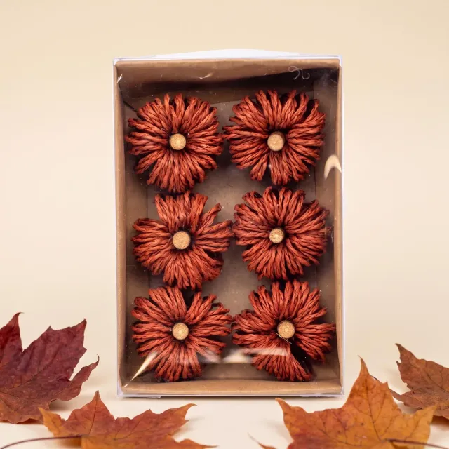 Urbanjungl Deco Pompoenen Bruin 6 Stuks Ø 4 cm