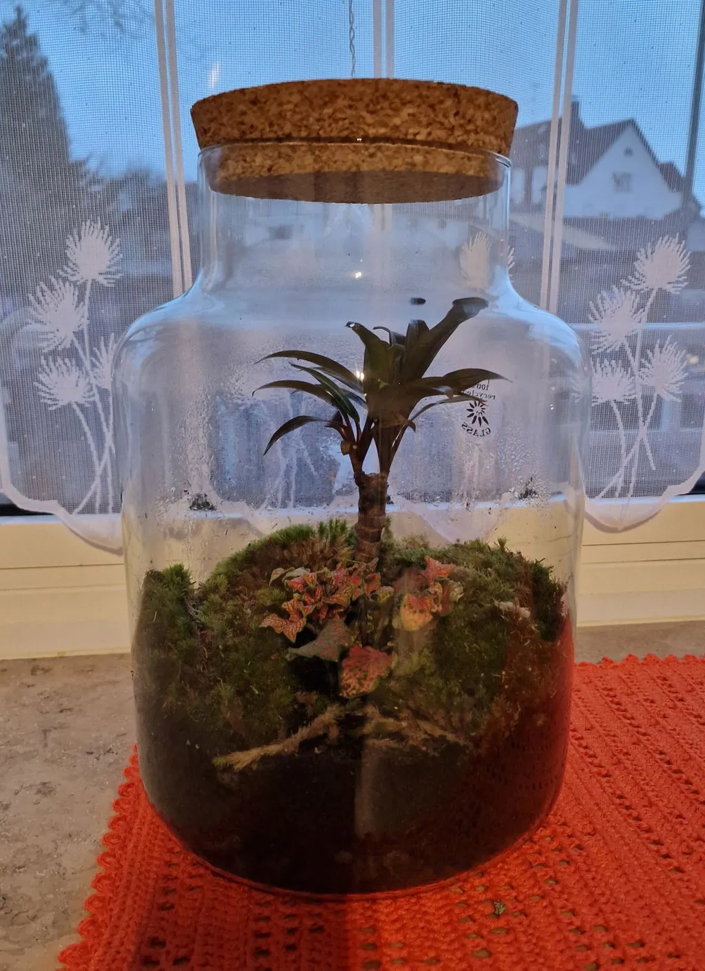Urbanjungl Milky Palm terrarium DIY kit Ø 21 cm met licht