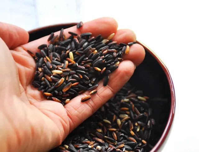 The Natural World Oryza Ketan Hitam rijstplant zwart
