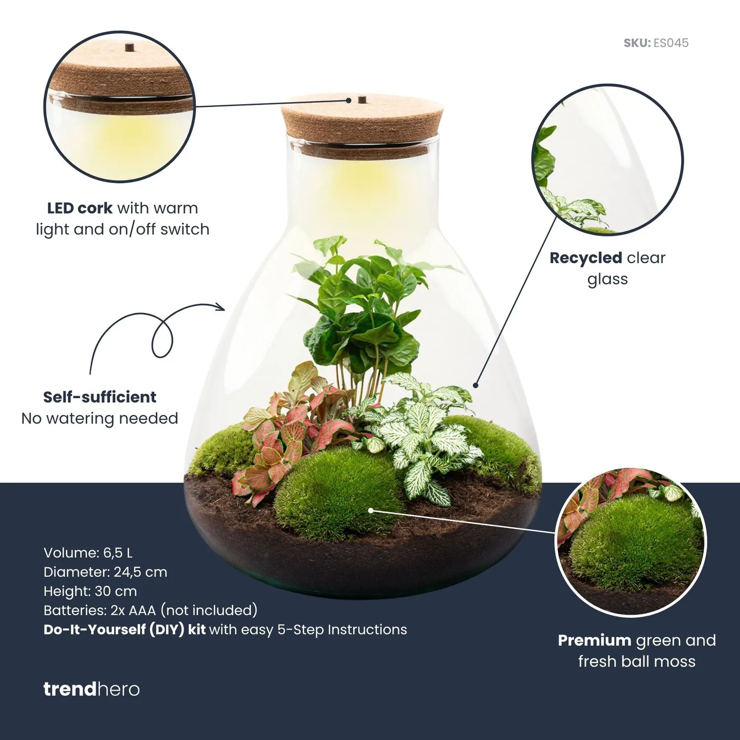 Urbanjungl Sam Coffea plantenterrarium DIY kit met licht 24 cm