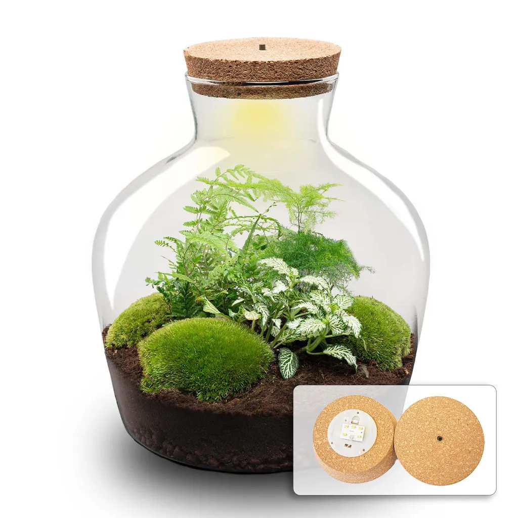 Urbanjungl Fat Joe Groen Terrarium met Licht Ø29 cm