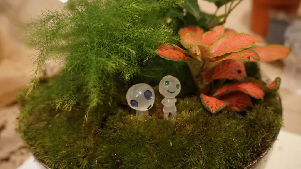 Urbanjungl Dome Rood terrarium DIY kit Ø 20 cm