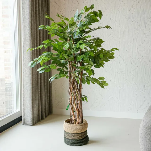 Urbanjungl Ficus Liana kunstboom 140 cm onderhoudsvrij
