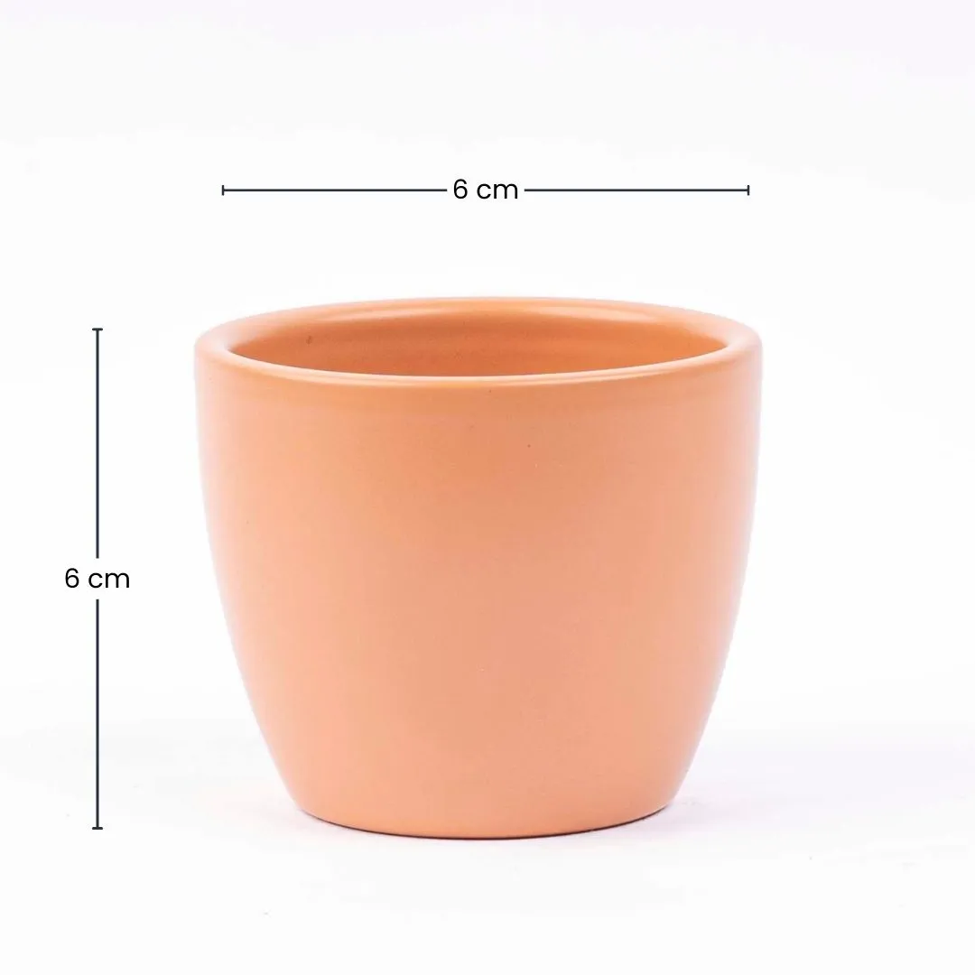 Urbanjungl Toscana Mat mini plantenpot terracotta Ø 6 cm
