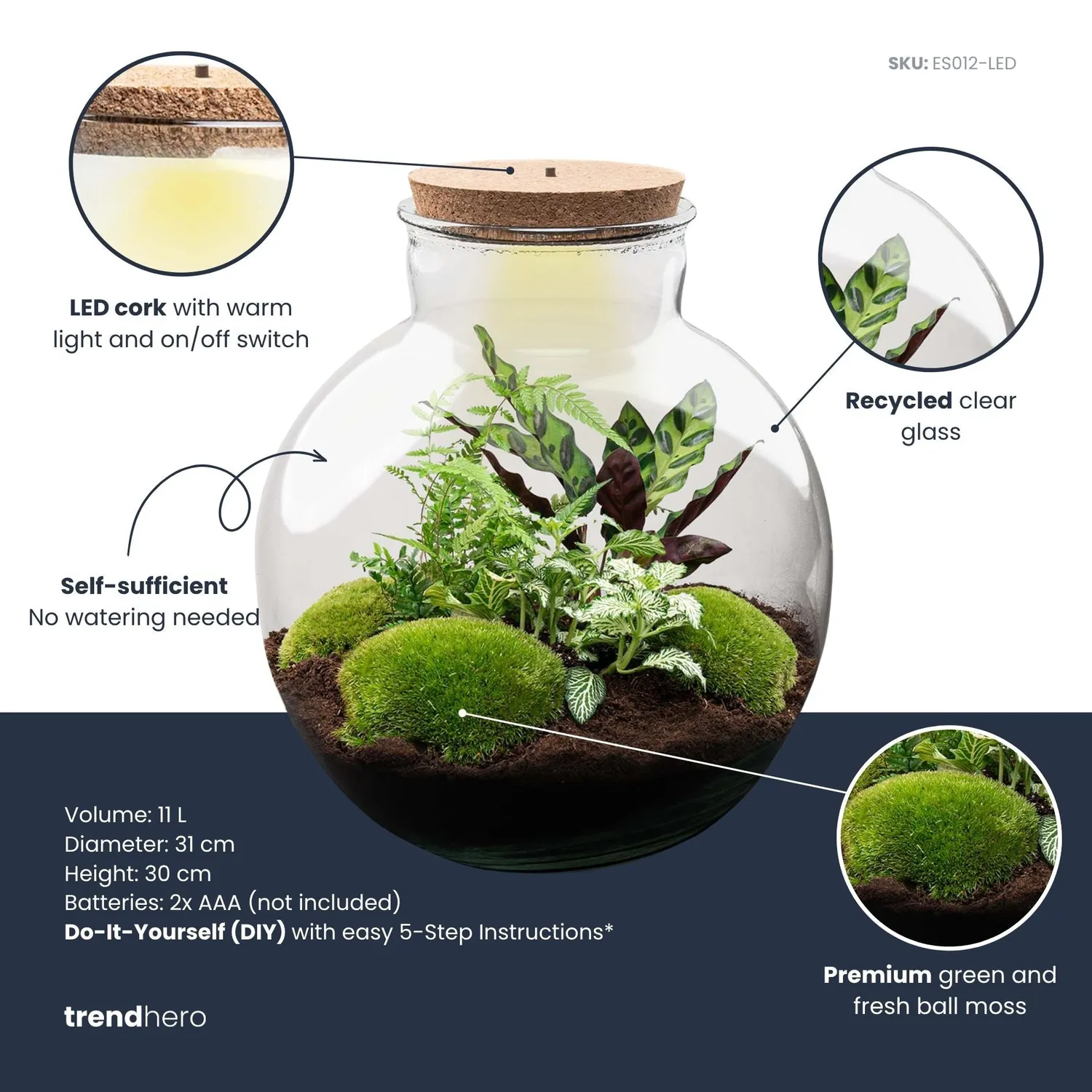 Urbanjungl Bolder Bob planten terrarium kit 31 cm met licht
