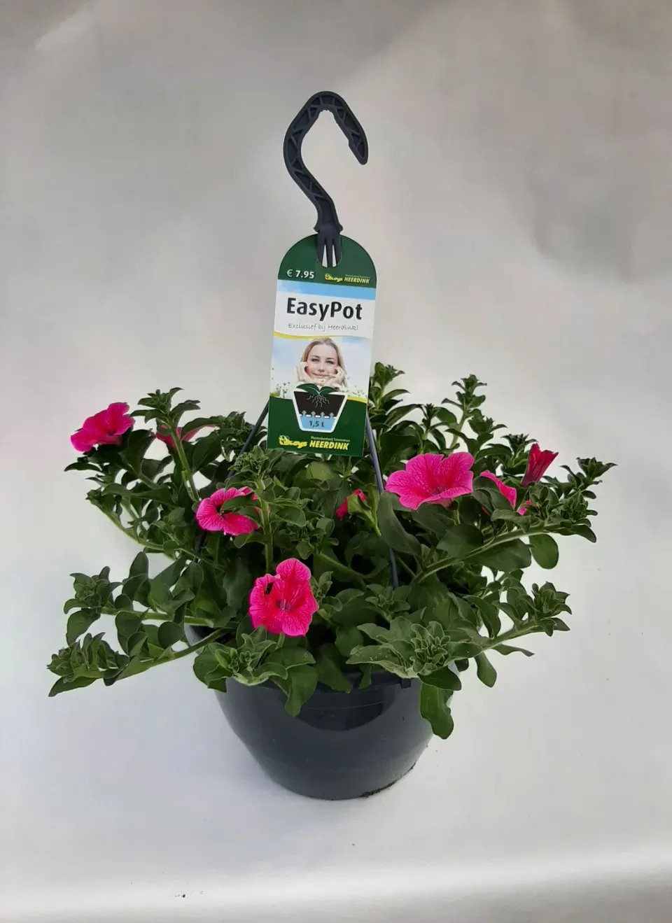 Tuincentrum Heerdink Hot Rose hangpetunia roze hangplant