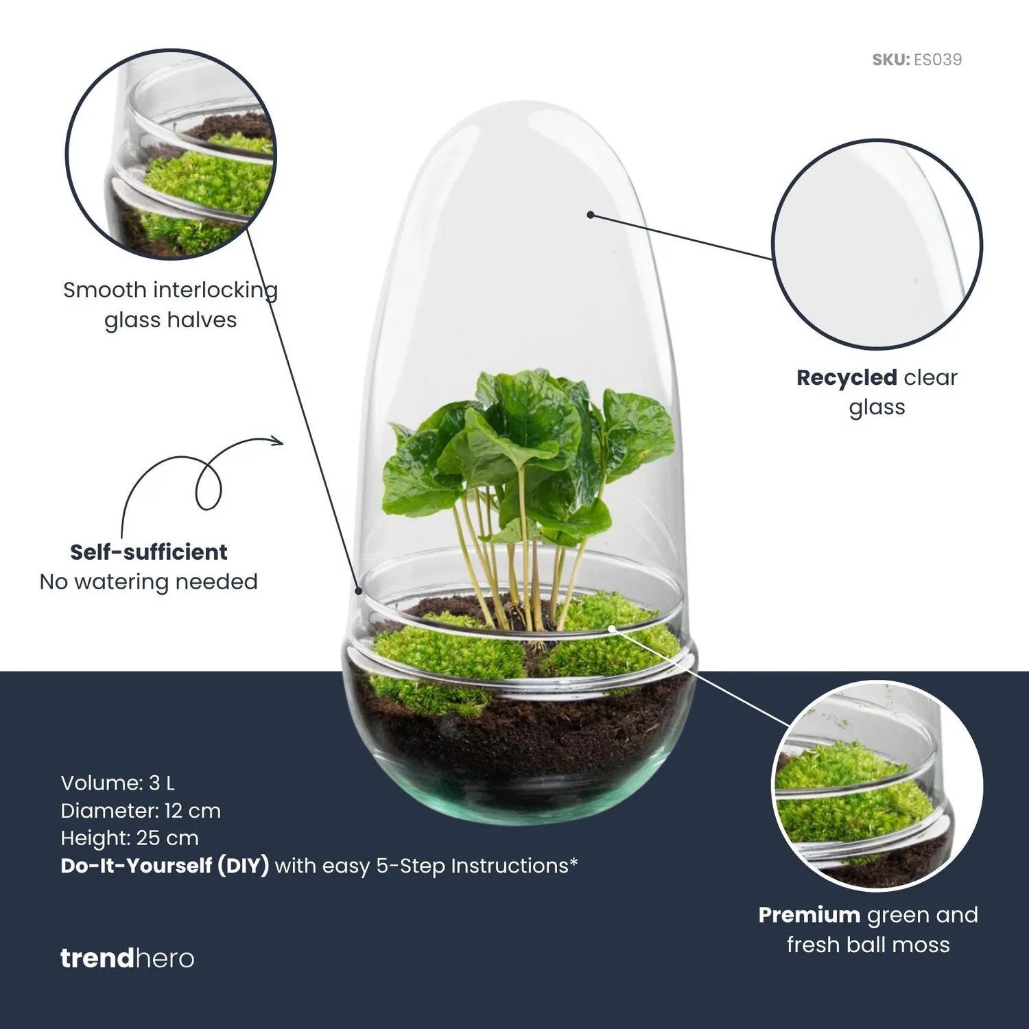 Urbanjungl Egg Coffea terrarium DIY kit Ø 12 cm