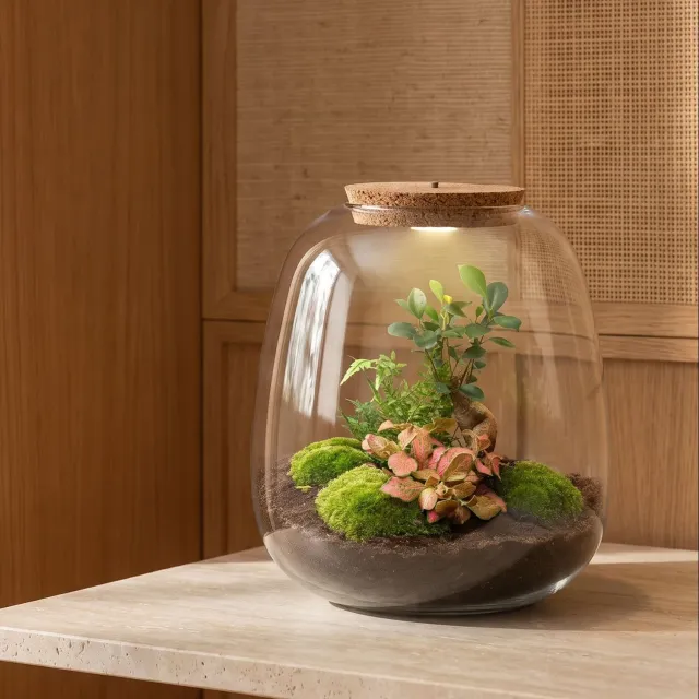 Urbanjungl Emma Bonsai Red terrarium met licht Ø 23 cm
