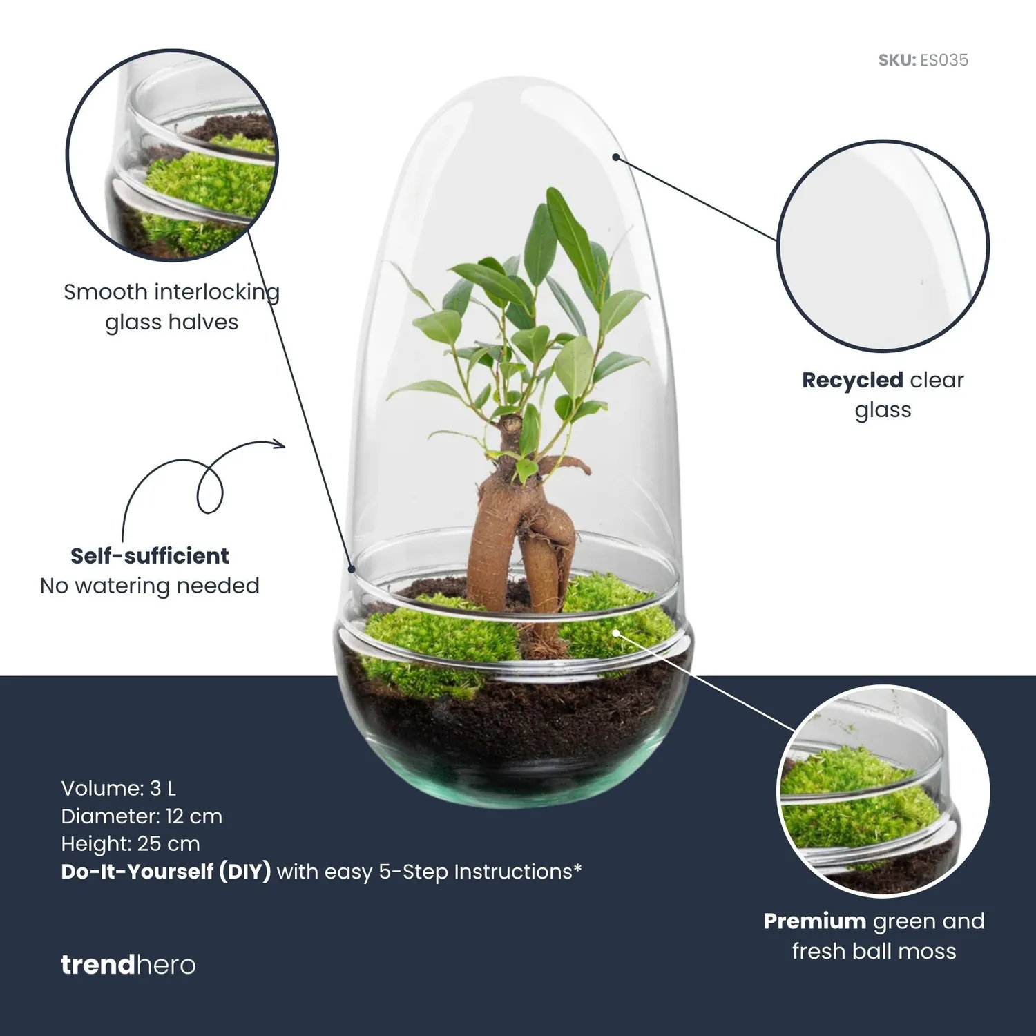 Urbanjungl Egg Bonsai terrarium DIY-kit Ø 12 cm