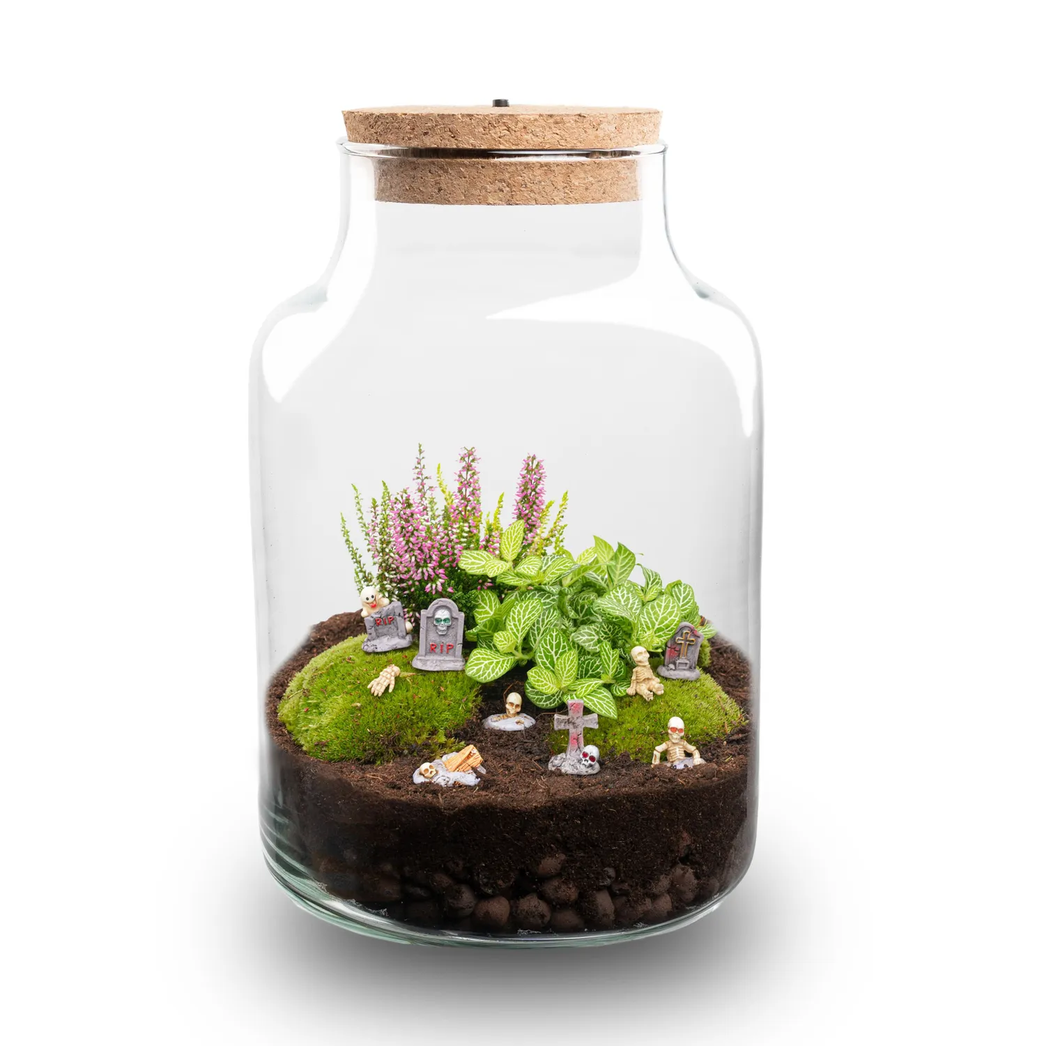 Urbanjungl Little Milky Halloween terrarium DIY Ø 17 cm