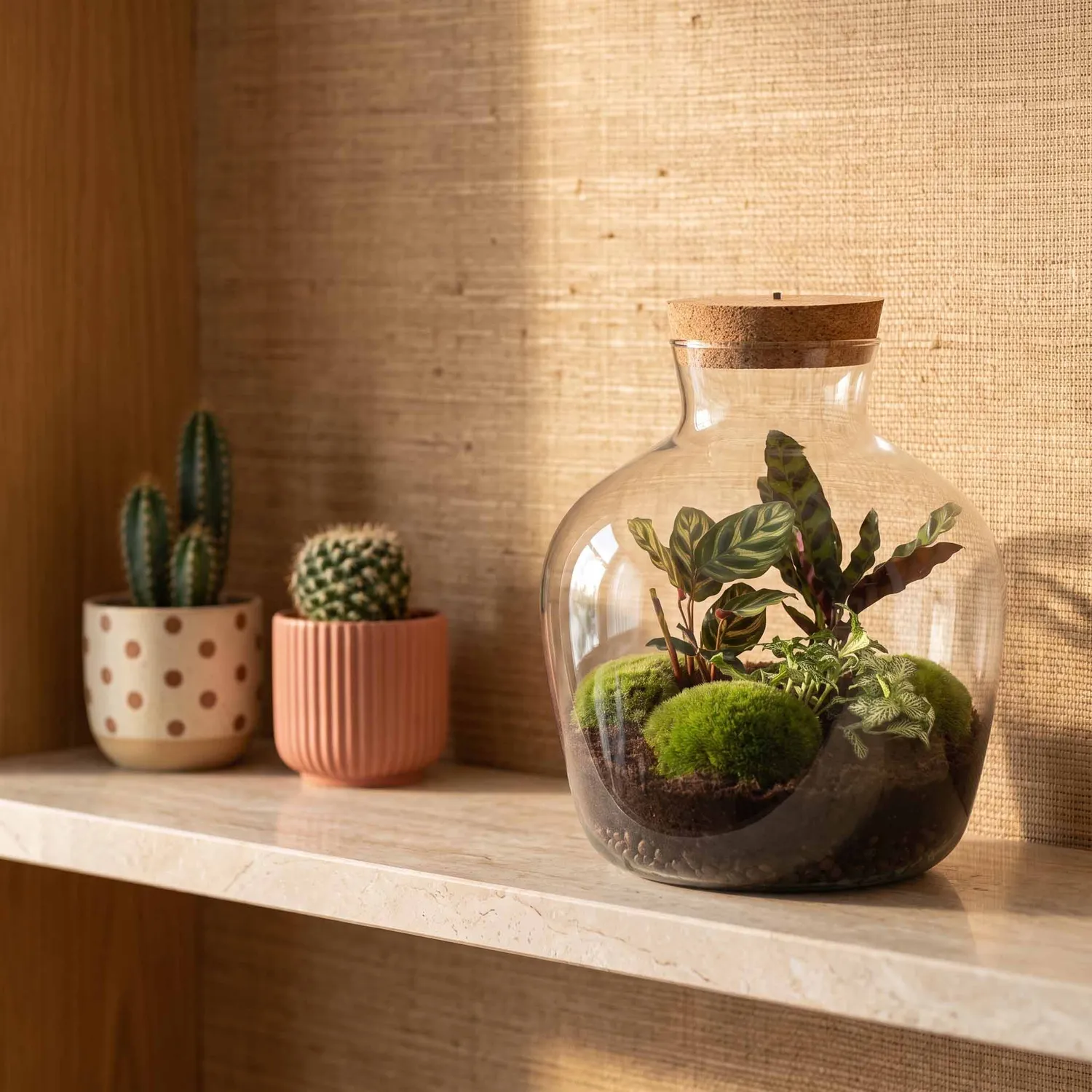 Urbanjungl Fat Joe plantenterrarium DIY kit met licht 29 cm