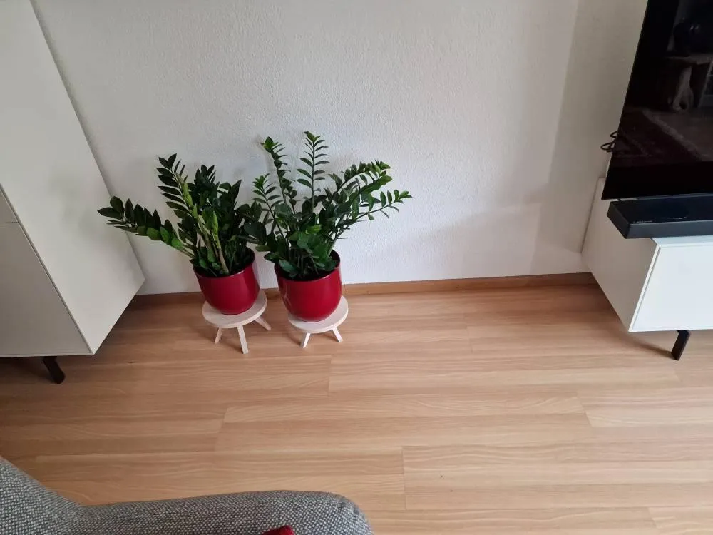 Urbanjungl Tibbe houten plantenstandaard set van 2
