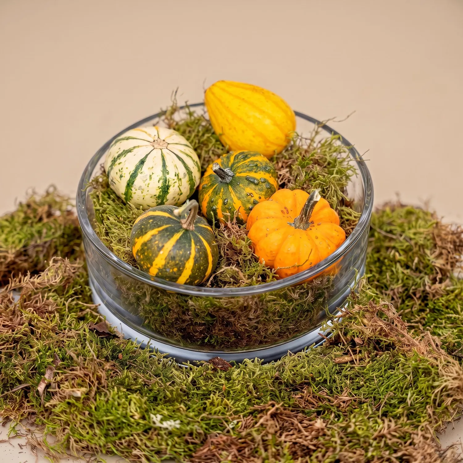 Urbanjungl Herfstschaal Pompoen Medium schaal 5 pompoenen mos