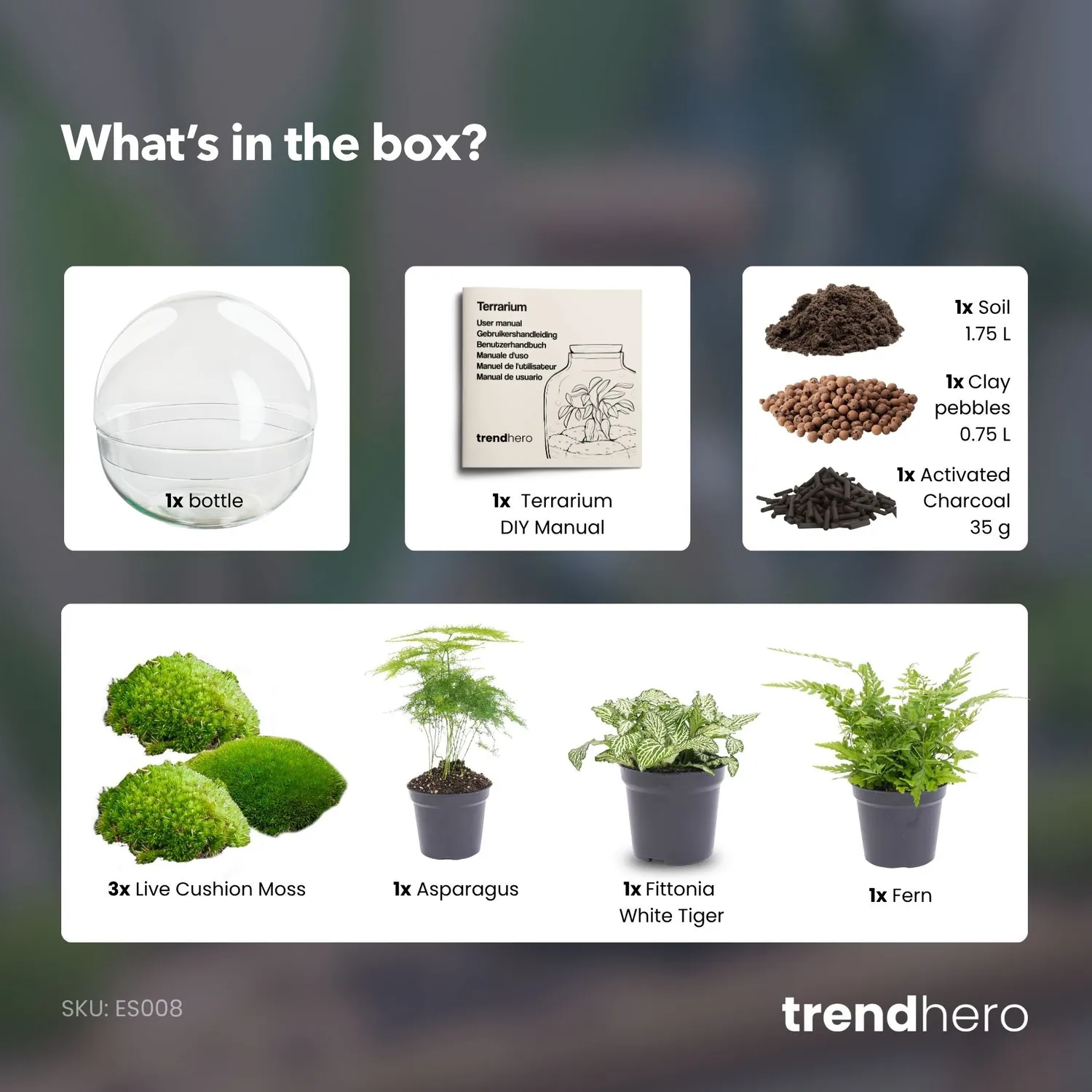 Urbanjungl Dome XL planten terrarium DIY kit 28 cm stolp