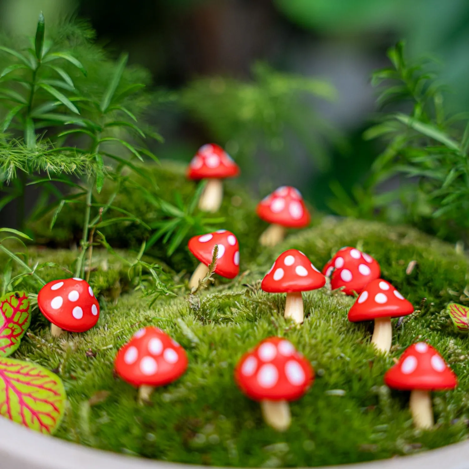 Urbanjungl Paddenpad mini paddenstoelen rood 10 stuks 2 cm