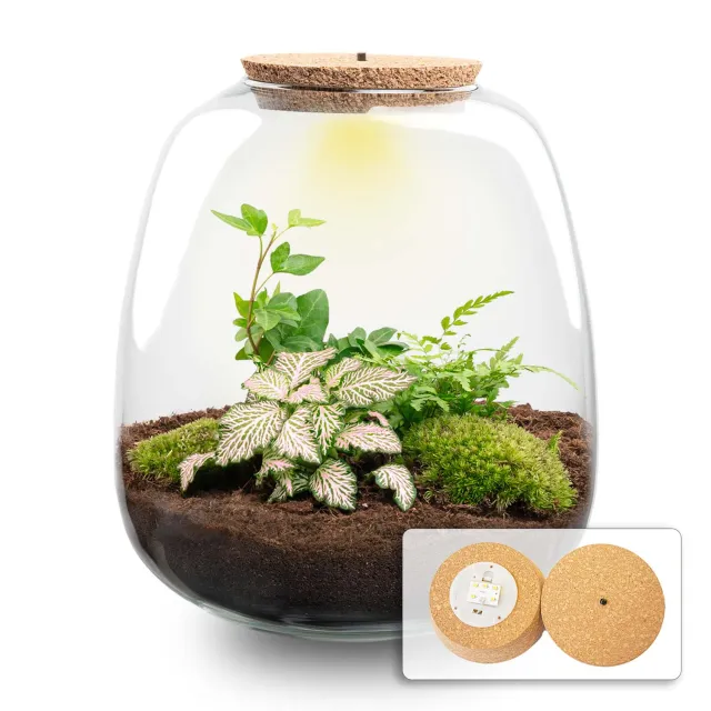 Emma Hedera Pink Terrarium met Licht DIY Kit Ø 23 cm