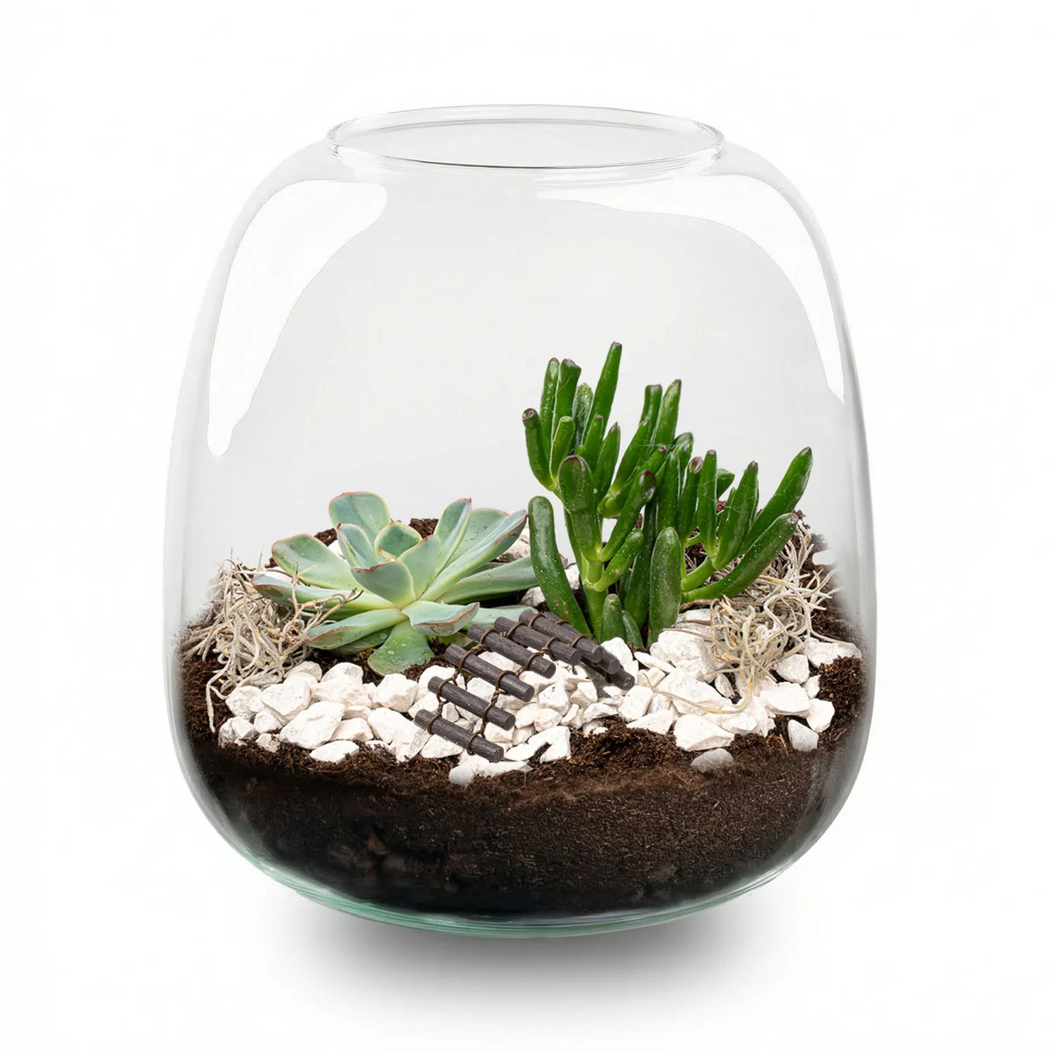 Urbanjungl Emma Mini succulent terrarium DIY kit 19 cm