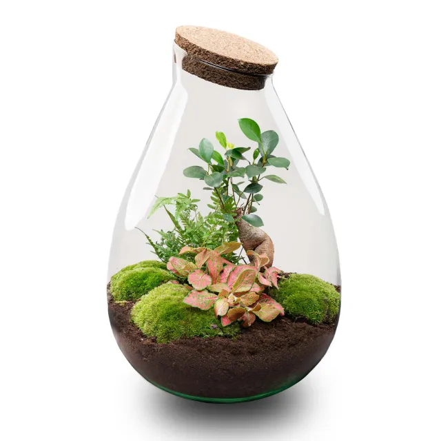 Urbanjungl Drop XL Rood terrarium Ø 24 cm DIY kit gesloten