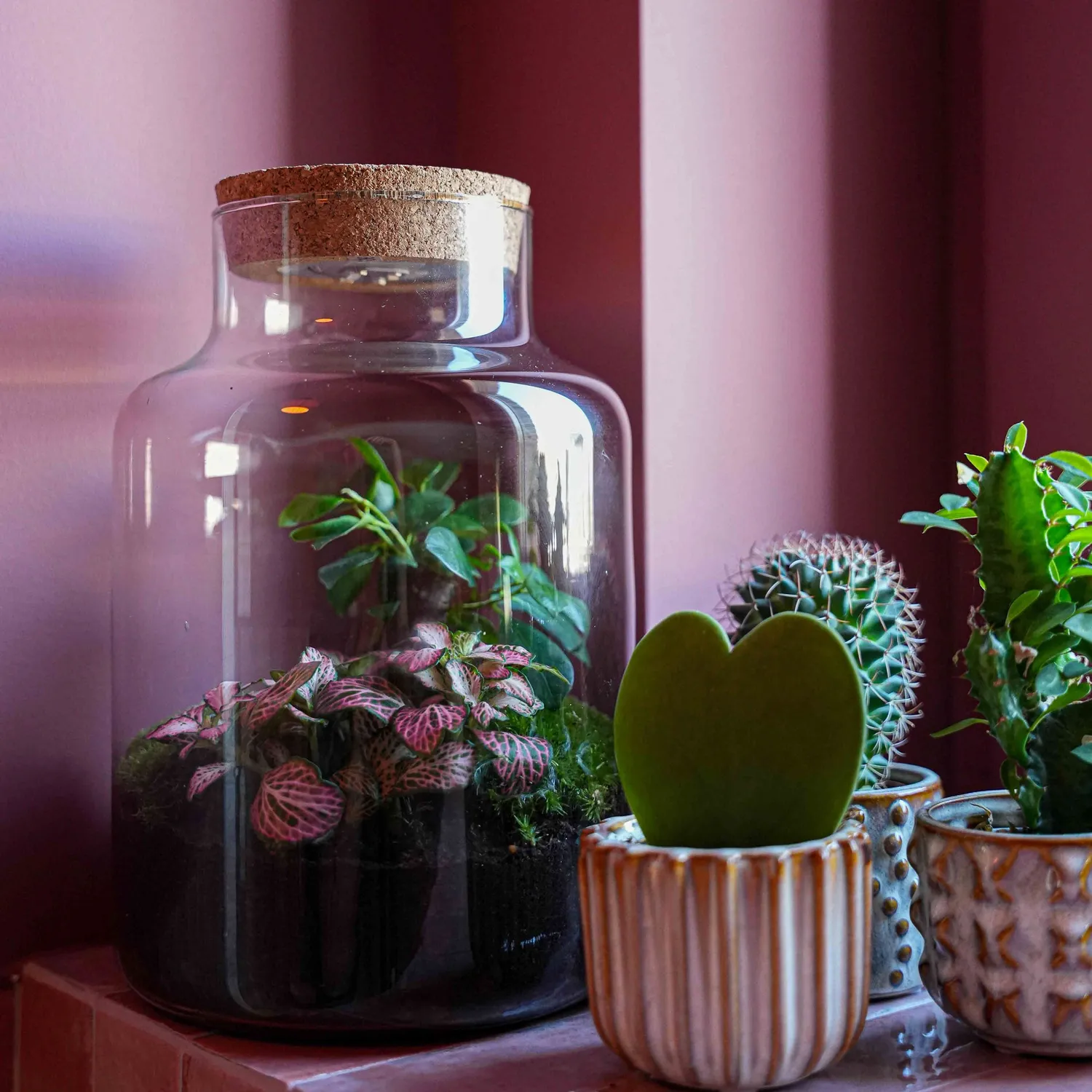 Urbanjungl Little Milky terrarium DIY kit LOVE MOM 25 cm