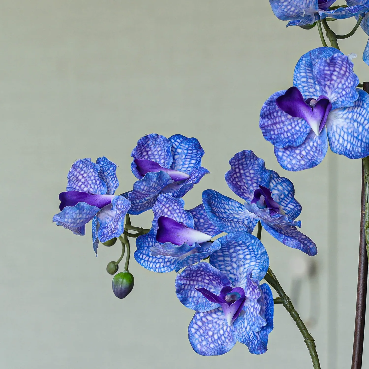 Urbanjungl Vanda paars kunstplant 60 cm in pot