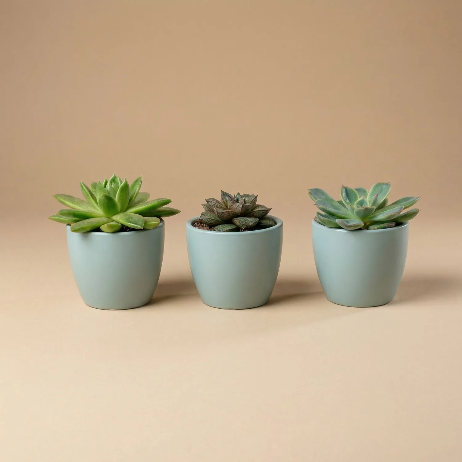 Urbanjungl mini plantenpot bol blauw keramiek 6 cm
