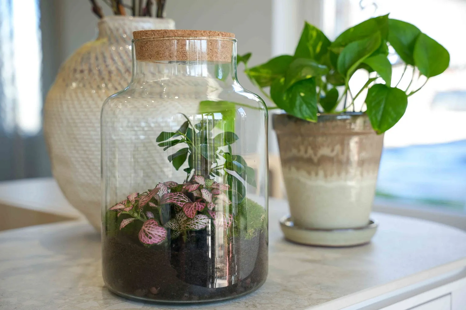 Urbanjungl Little Milky terrarium DIY kit LOVE MOM 25 cm