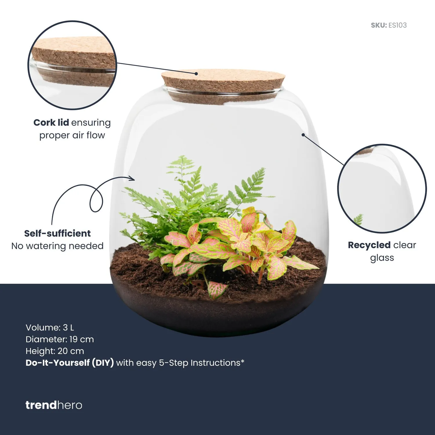 Emma Mini terrarium DIY kit Fittonia 19 cm met kurk