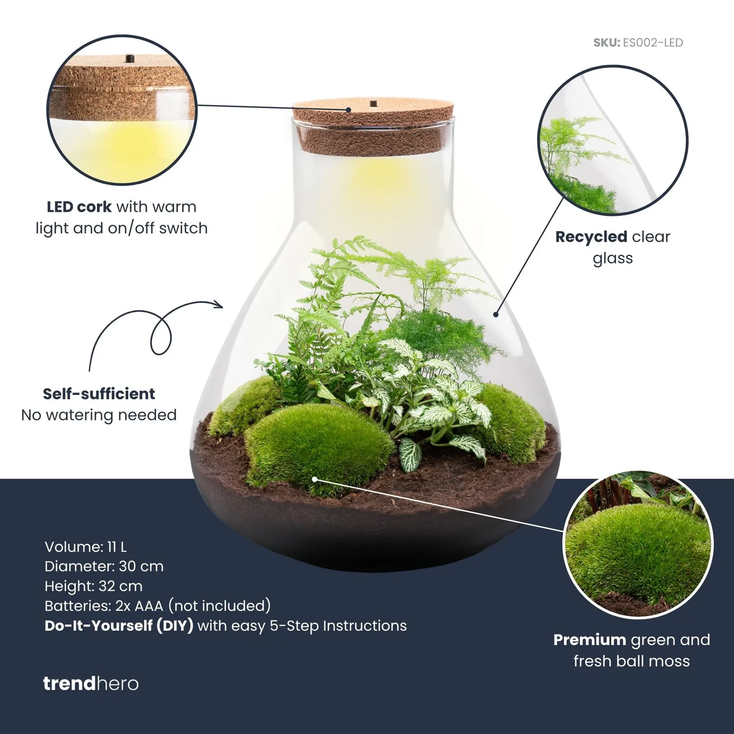 Urbanjungl Sam XL plantenterrarium DIY kit met licht 30 cm