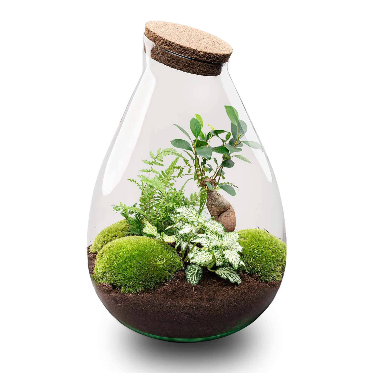 Urbanjungl Drop XL Groen terrarium DIY kit Ø 24 cm kurk