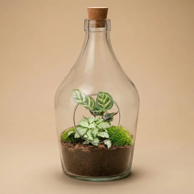 Urbanjungl Joss terrarium open met kurk Ø 16 cm