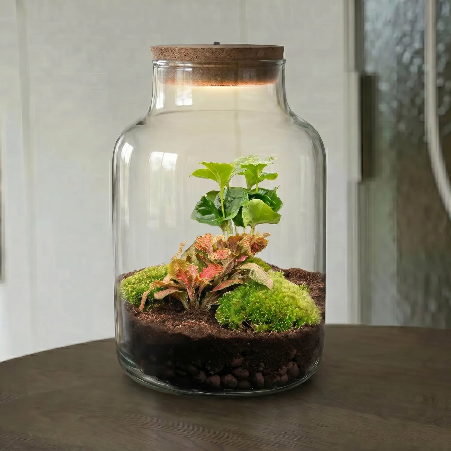 Urbanjungl Little Milky terrarium DIY kit Coffea Fittonia Ø17cm