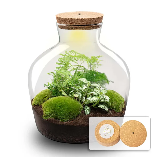 Urbanjungl Fat Joe Groen Terrarium met Licht Ø29 cm