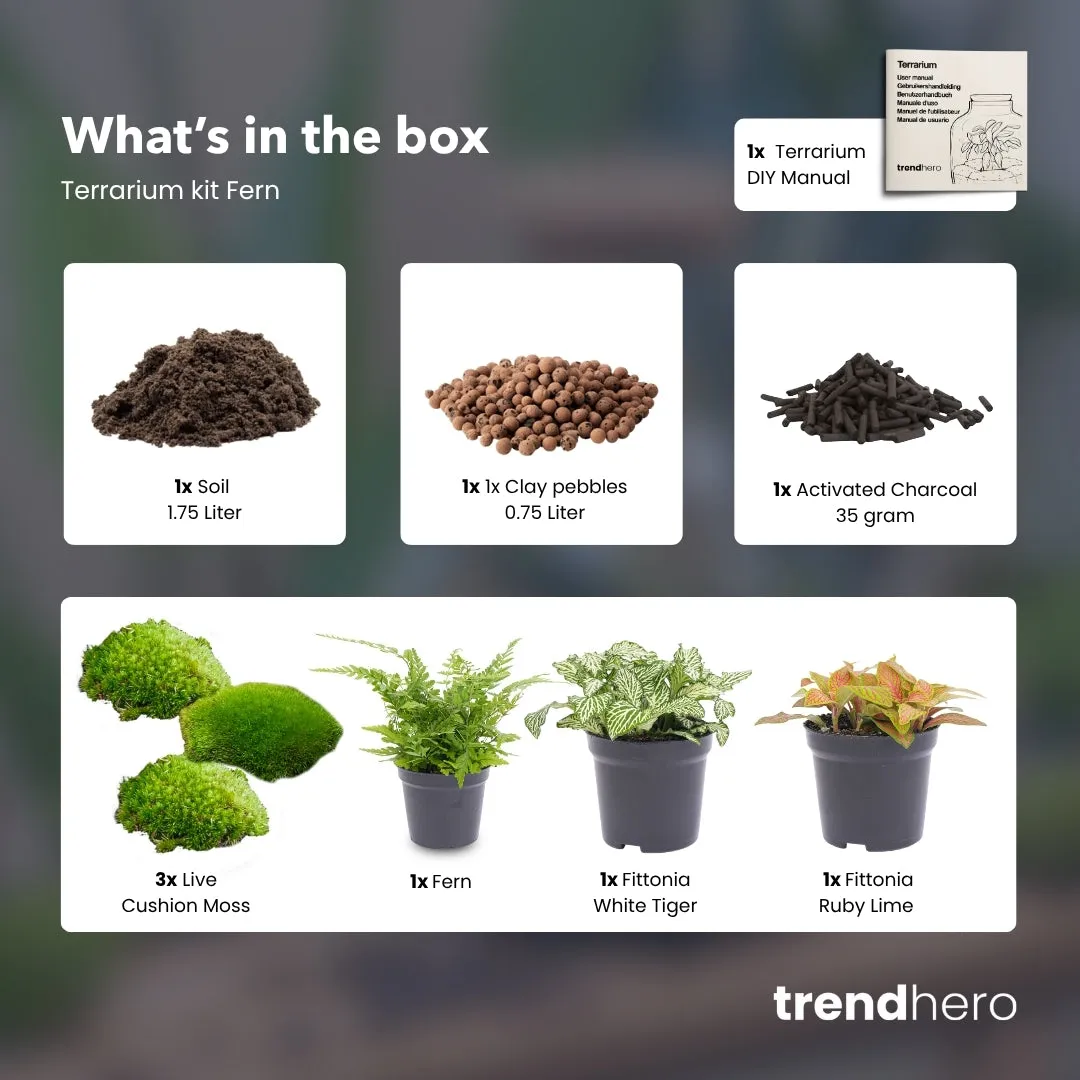 Urbanjungl Varen terrarium navulset L/XL 3 planten