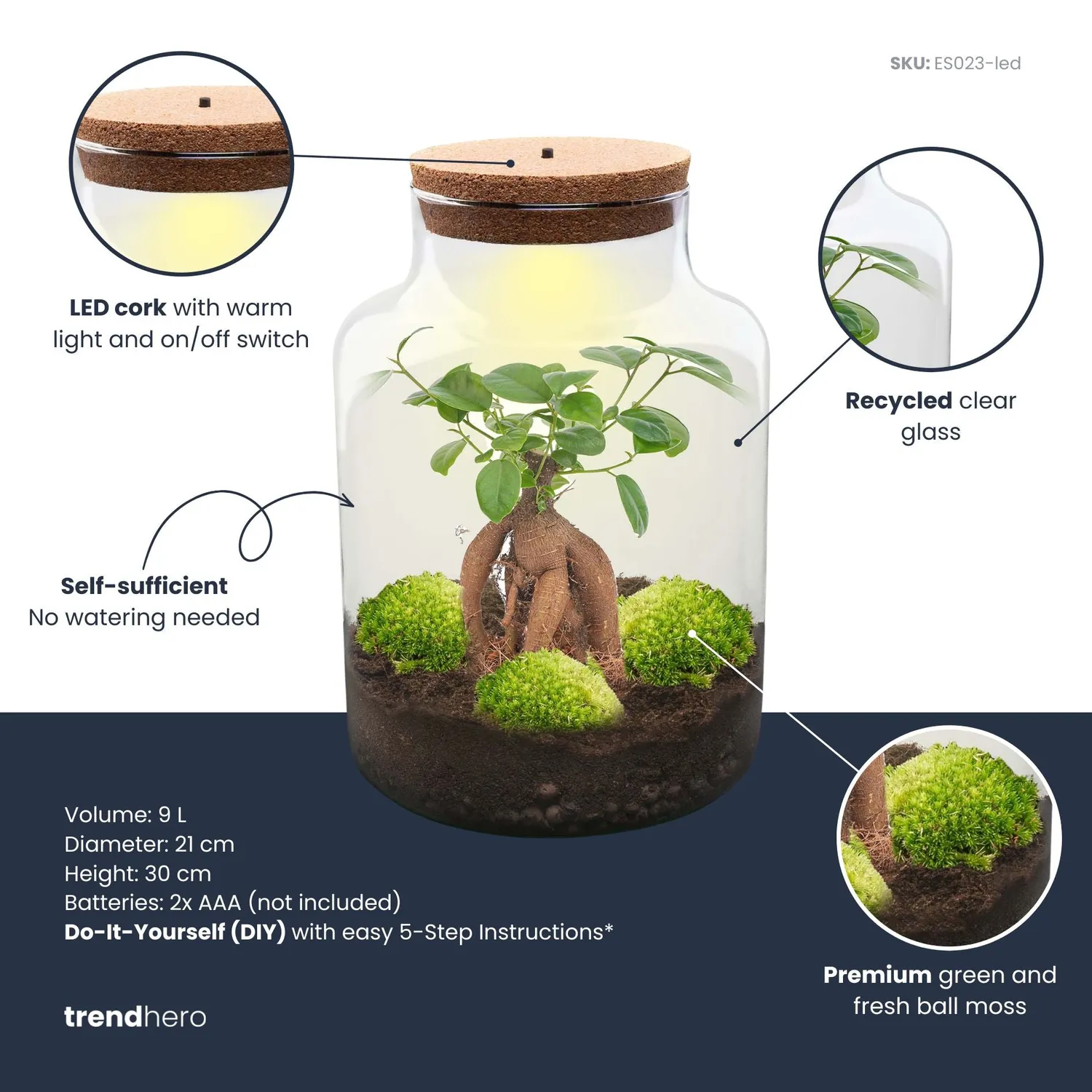 Urbanjungl Milky Bonsai terrarium met licht Ø 21 cm kit