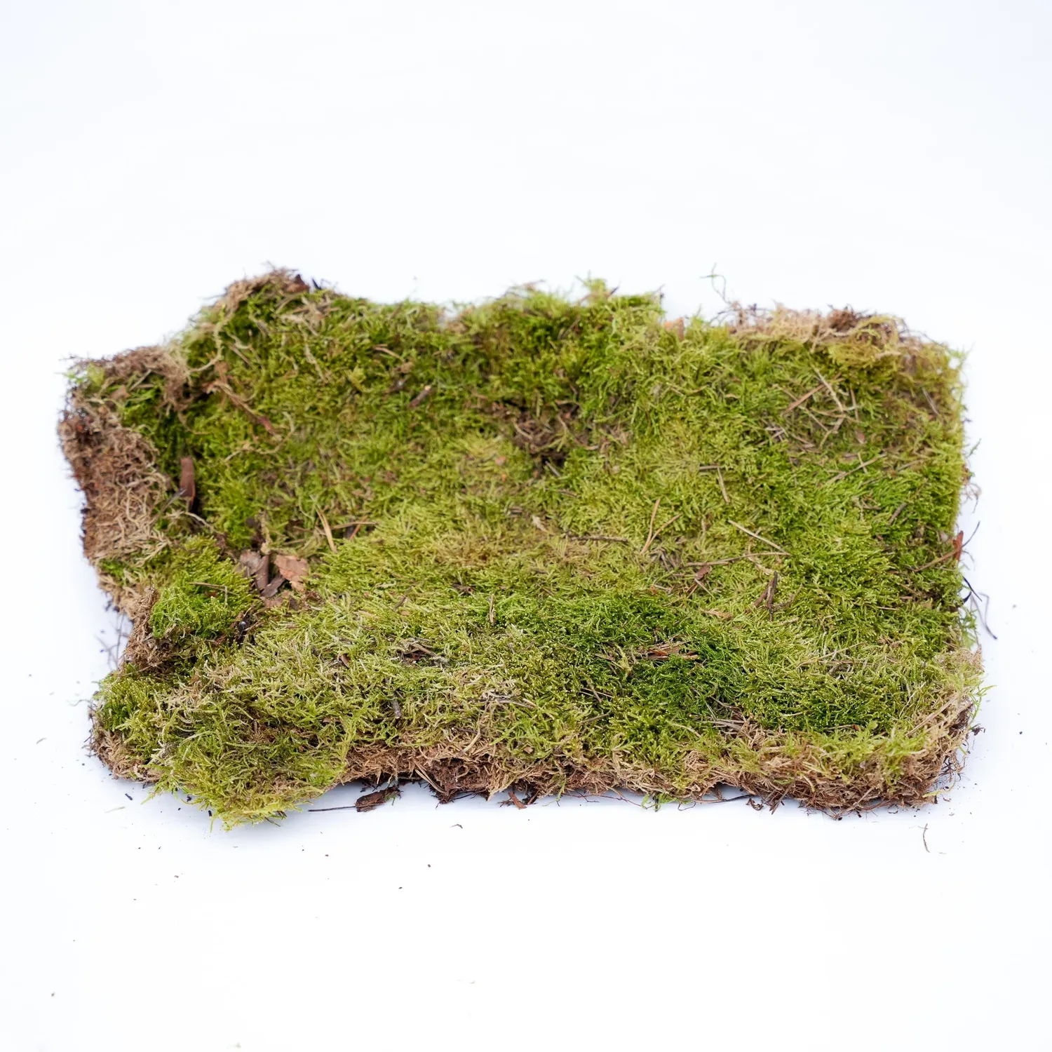 Urbanjungl platmos gedroogd groen 30x20cm 1 doos