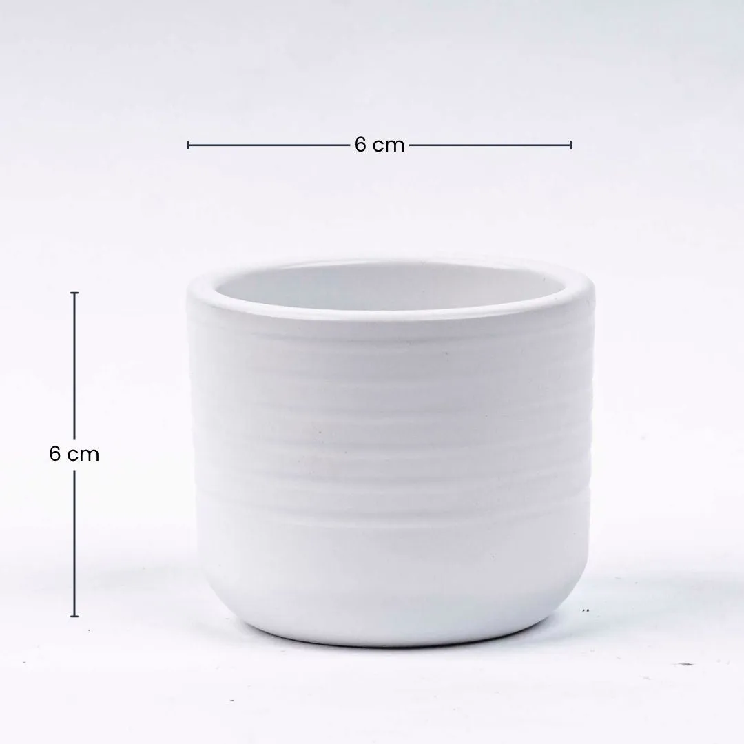 Urbanjungl Donny mini plantenpot wit Ø 6 cm keramiek
